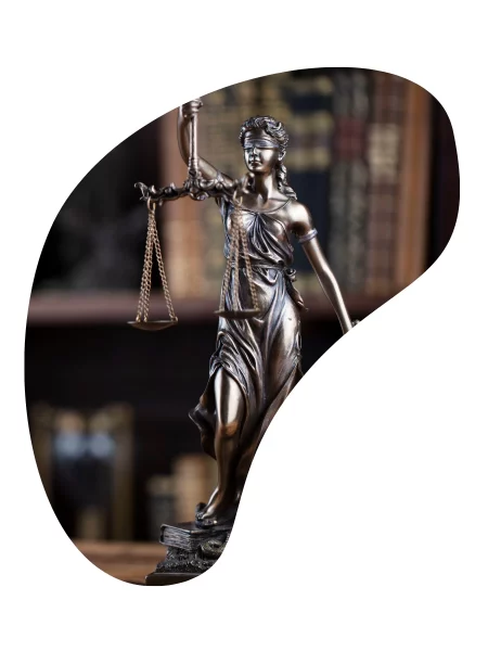 księgowość dla prawników